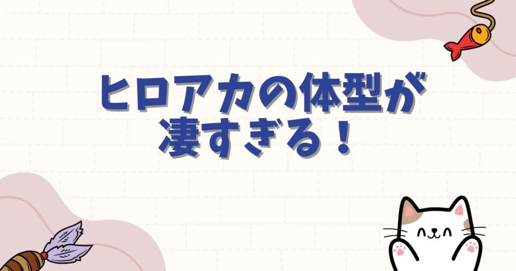 ヒロアカの体型が凄すぎる！