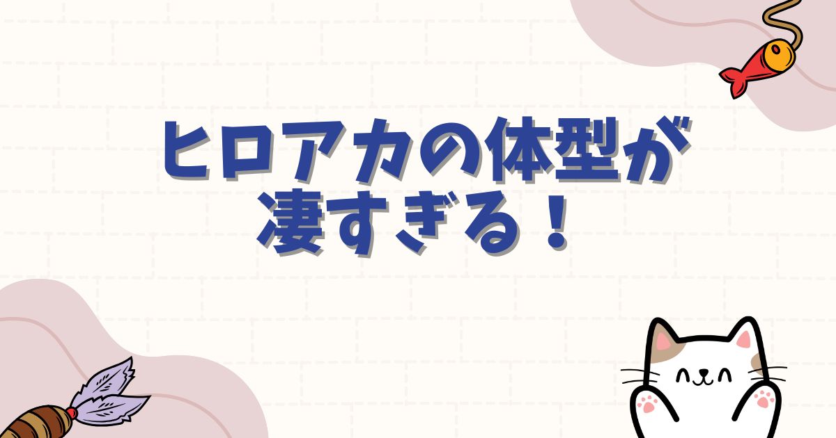 ヒロアカの体型が凄すぎる!